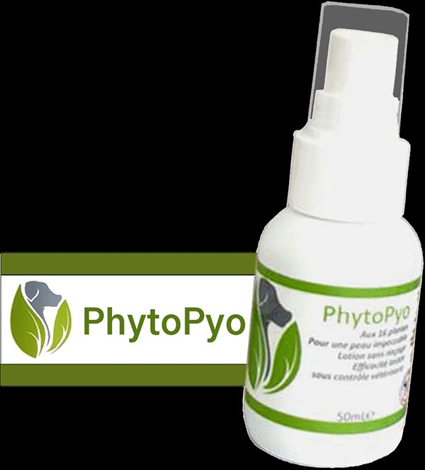 PhytoPyo contre la pyodermite Falcon de 50 ml