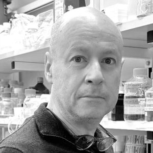 Professeur Adrian-SALIC - Université d'Harvard-Medical-School et à ISIS