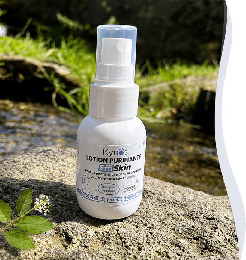 Lotion purifiante EffiSkin