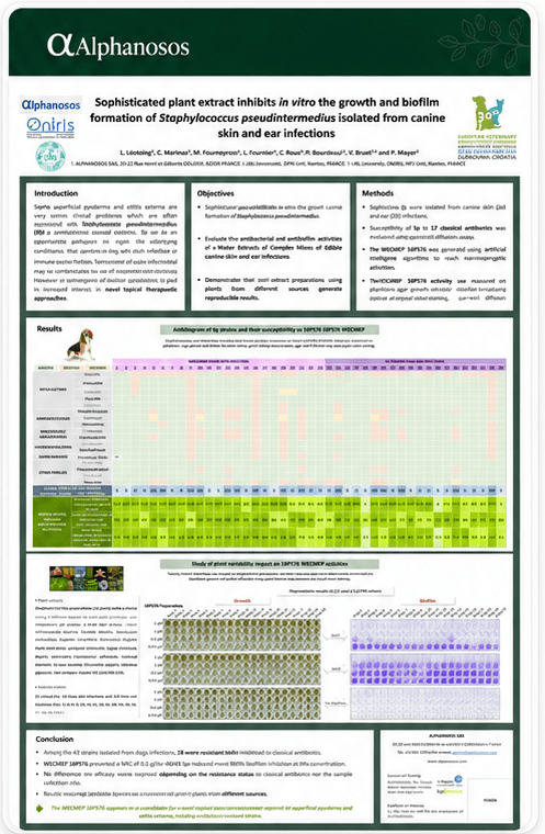 Peer-reviewed evidence poster preview